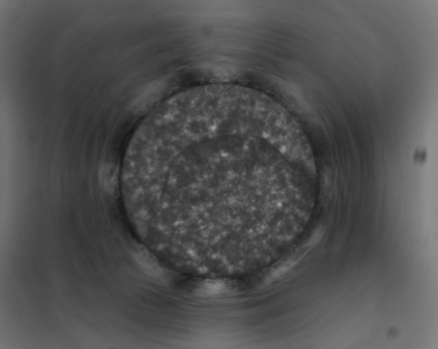 X0000102040177200808081843