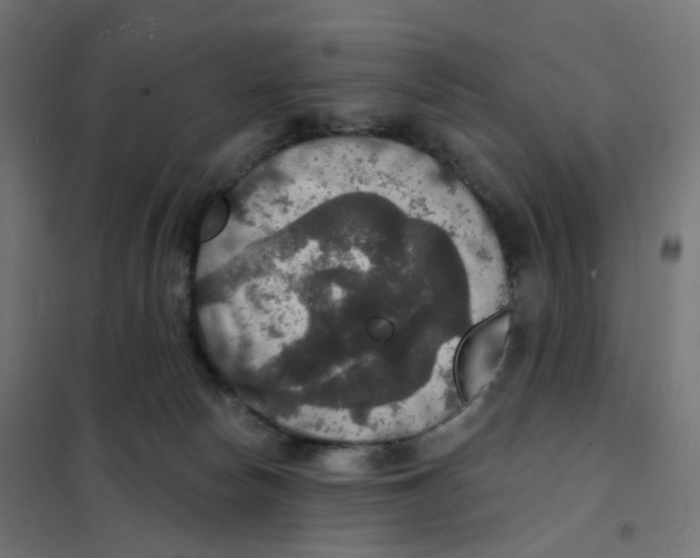 X0000102040178200808081843