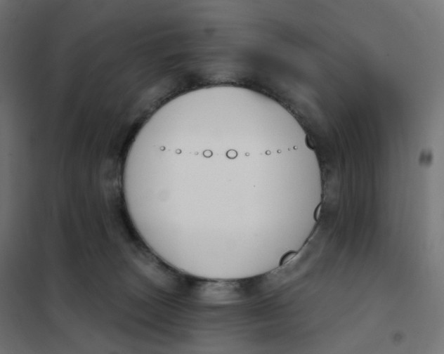 X0000102040179200808081843