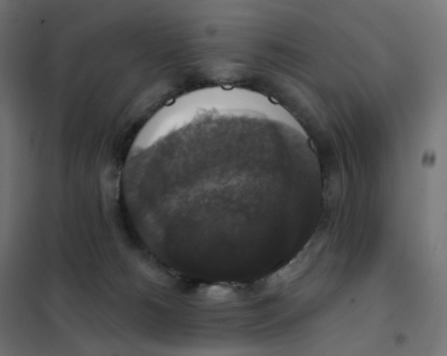 X0000102040180200808081843