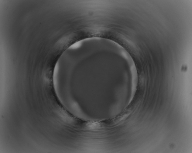 X0000102040181200808081843