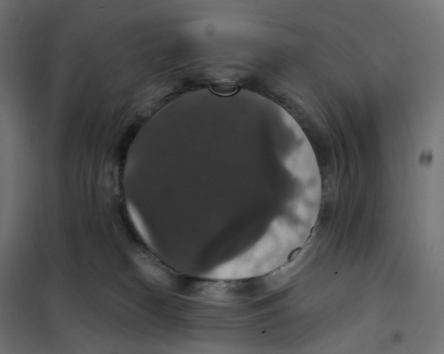 X0000102040182200808081843