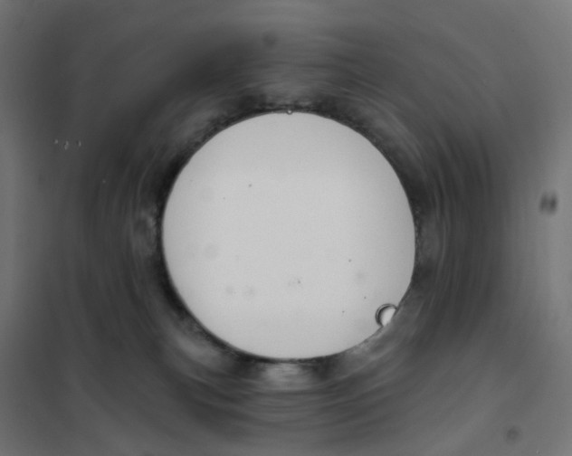 X0000102040183200808081843