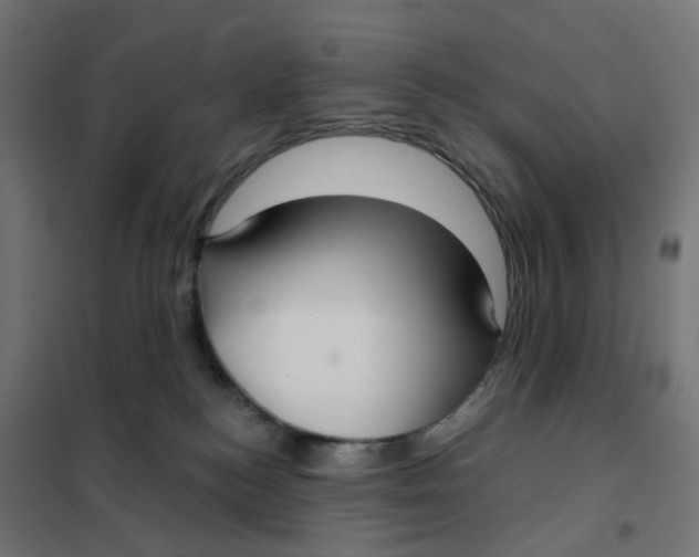 X0000102040184200808081843