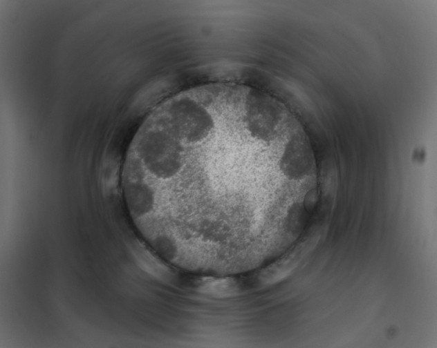 X0000102040185200808081843