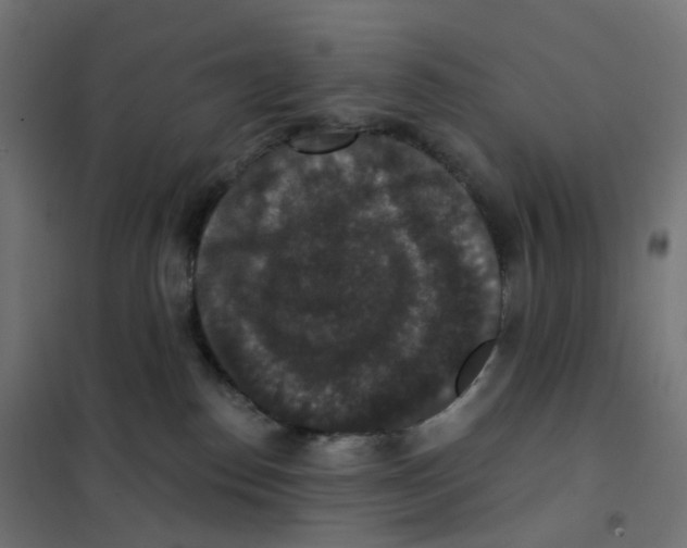 X0000102040186200808081843