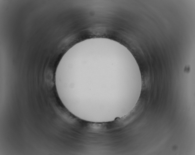 X0000102040187200808081843