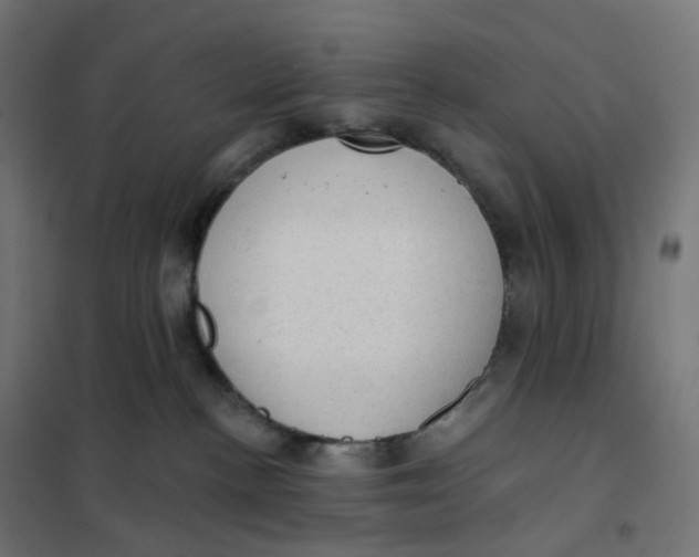 X0000102040188200808081843