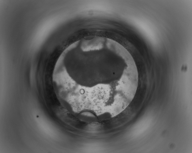 X0000102040189200808081843