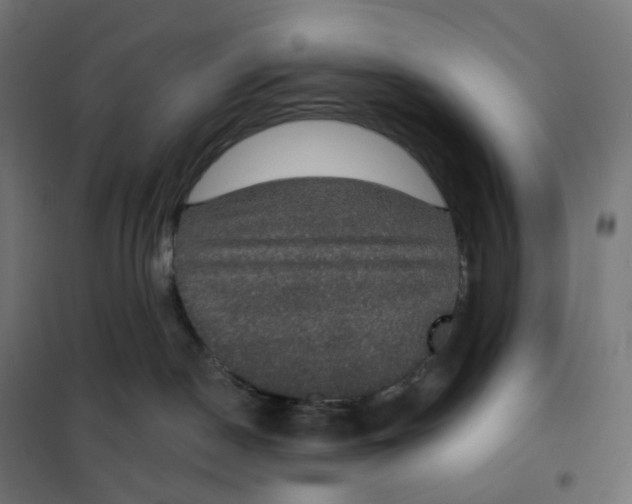 X0000102040190200808081843