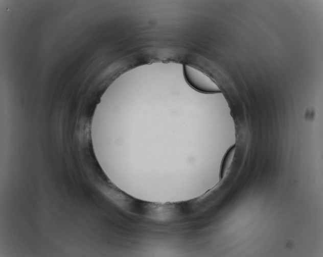 X0000102040191200808081843