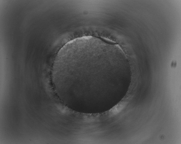 X0000102040192200808081843