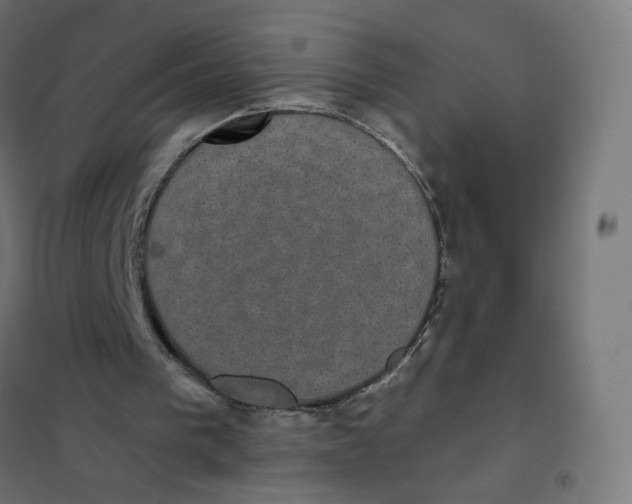 X0000102040193200808081843