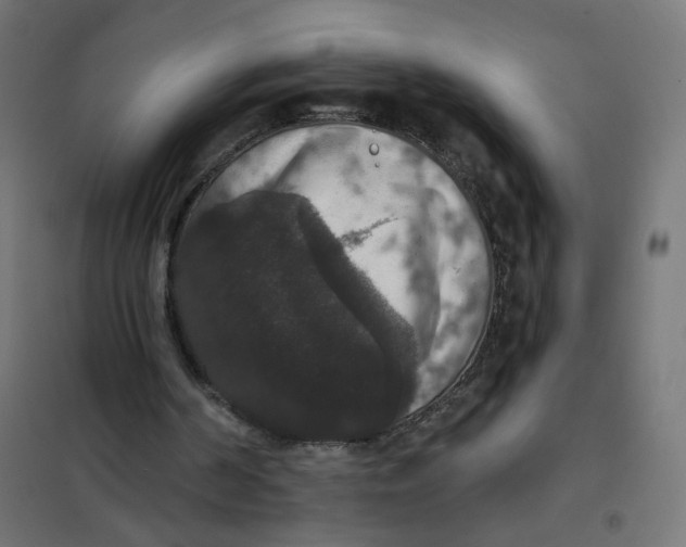 X0000102040194200808081843