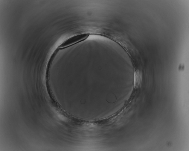 X0000102040195200808081842