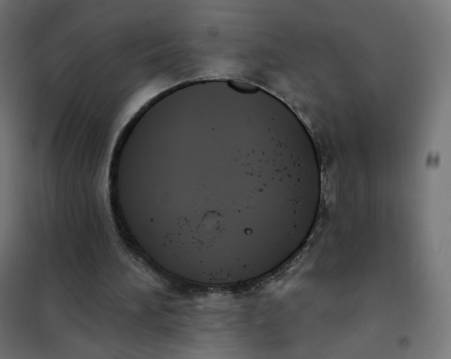 X0000102040196200808081842