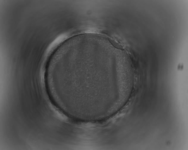 X0000102040197200808081842