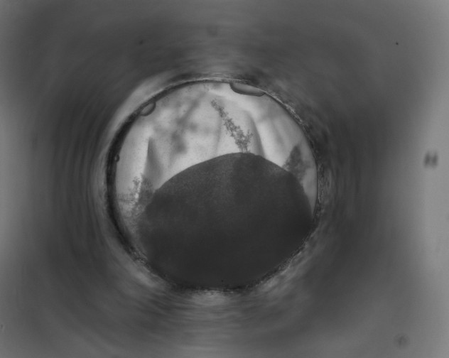 X0000102040198200808081842