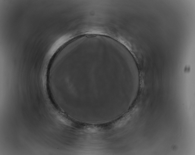 X0000102040199200808081842