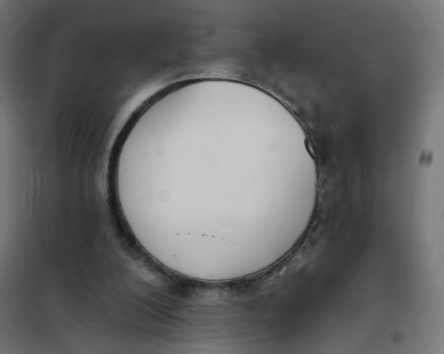 X0000102040200200808081842