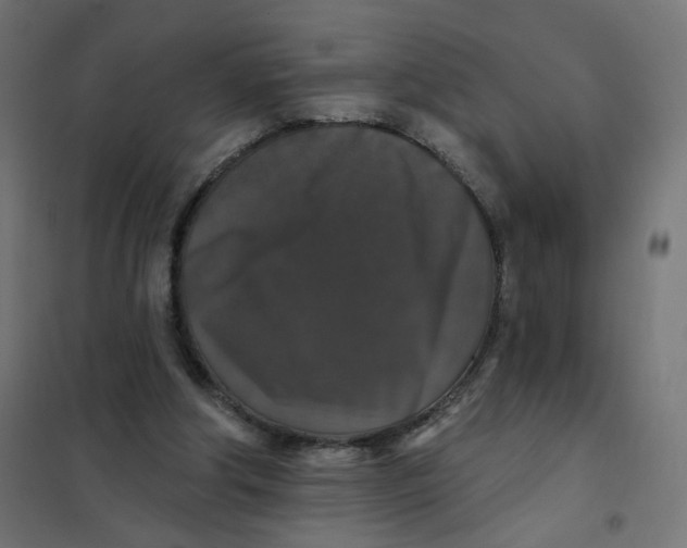 X0000102040202200808081842