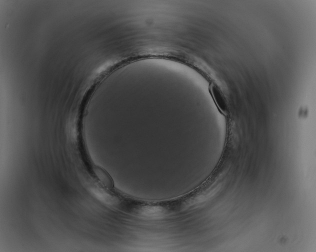 X0000102040203200808081842