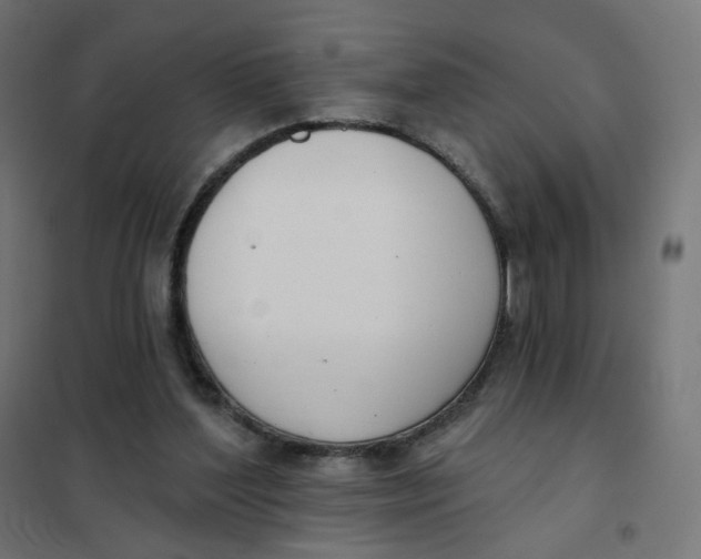 X0000102040204200808081842