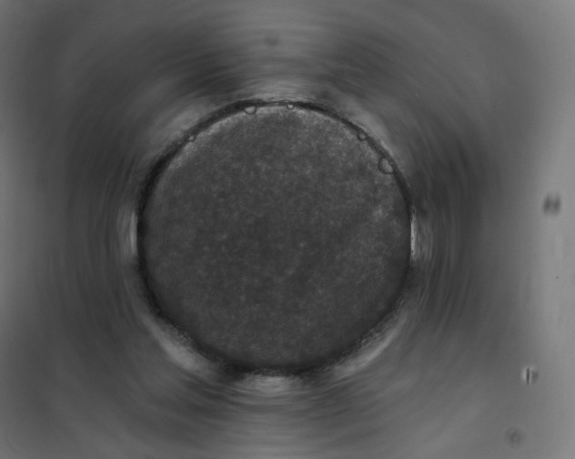 X0000102040205200808081842