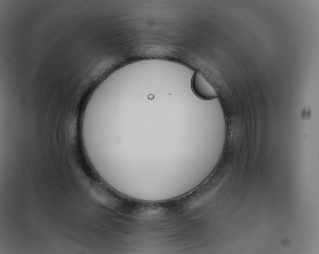 X0000102040206200808081842