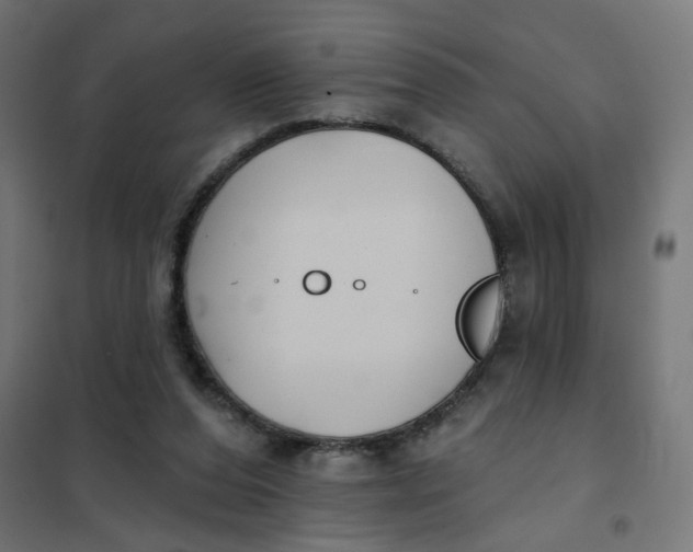 X0000102040208200808081842