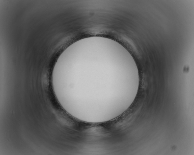 X0000102040210200808081842