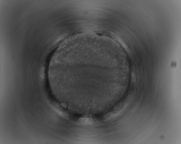 X0000102040211200808081842