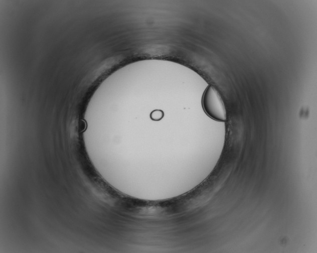 X0000102040212200808081842