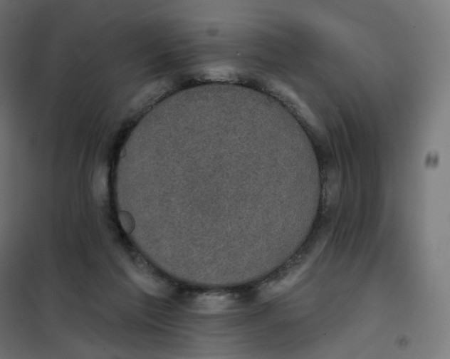 X0000102040213200808081842