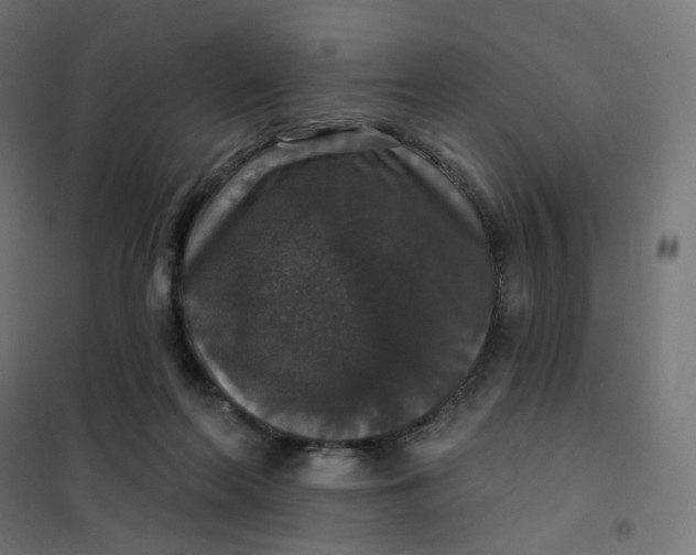 X0000102040214200808081842