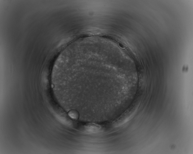 X0000102040215200808081842