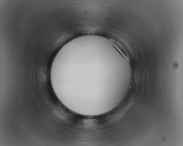 X0000102040216200808081842