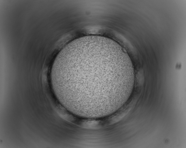 X0000102040217200808081842