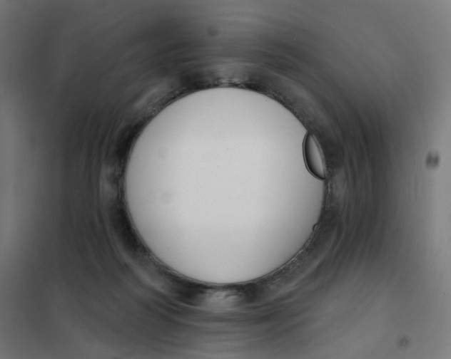 X0000102040218200808081842