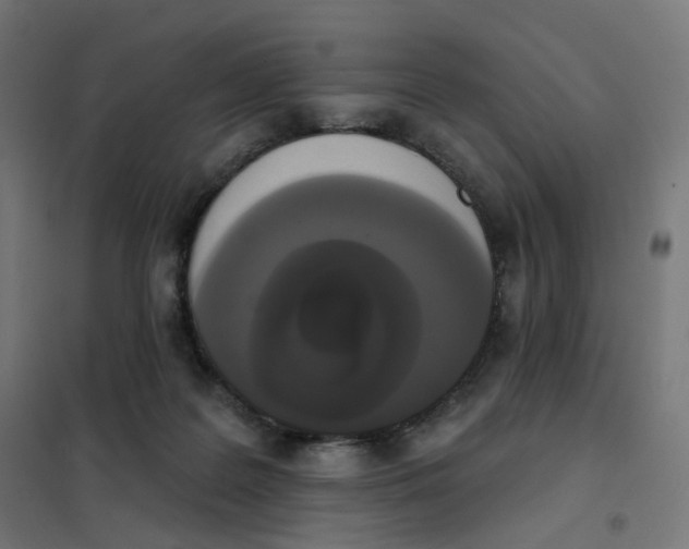 X0000102040219200808081842