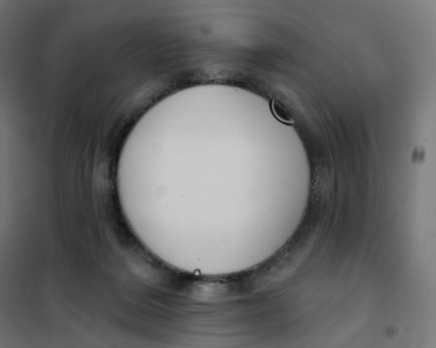 X0000102040220200808081842