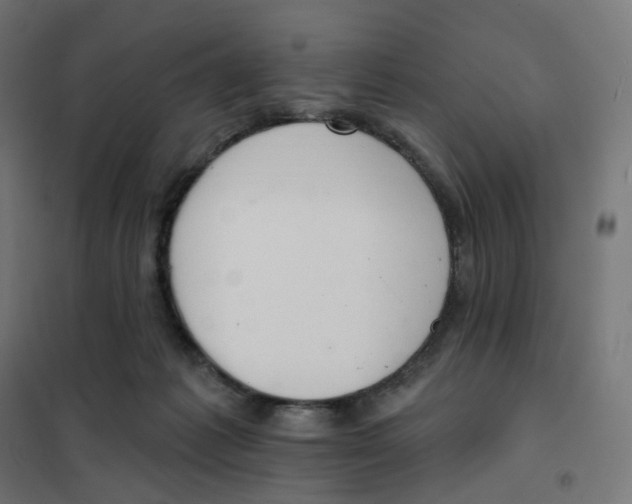 X0000102040221200808081842