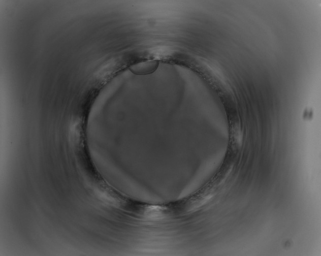 X0000102040222200808081842