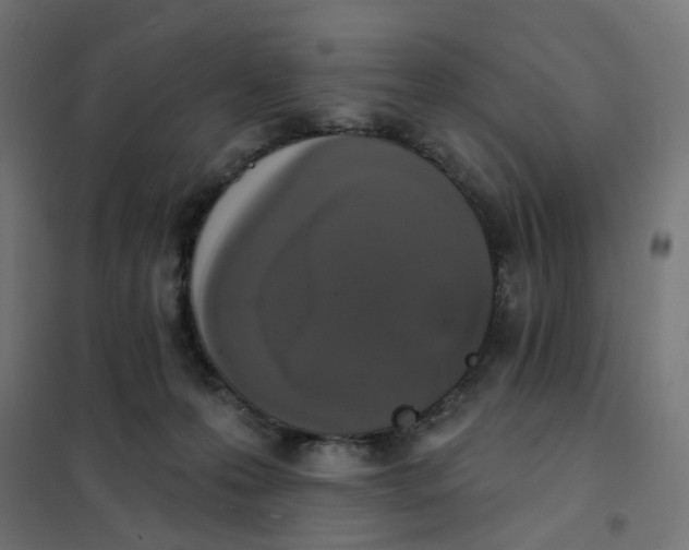 X0000102040223200808081842