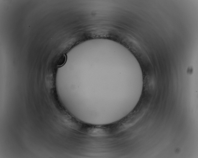 X0000102040224200808081842