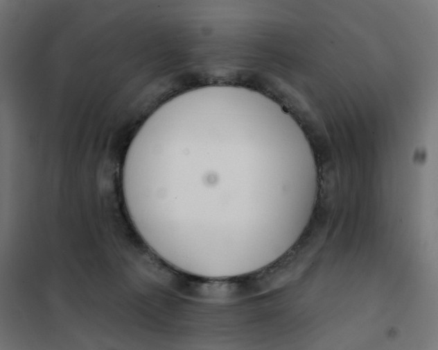 X0000102040225200808081842