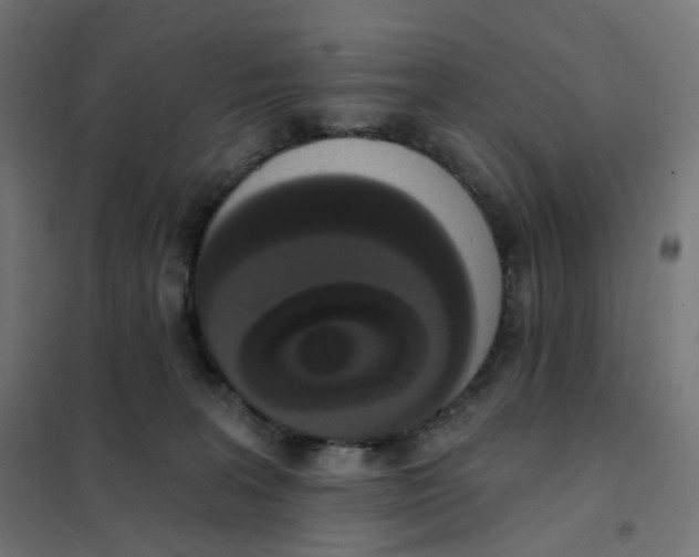 X0000102040227200808081842