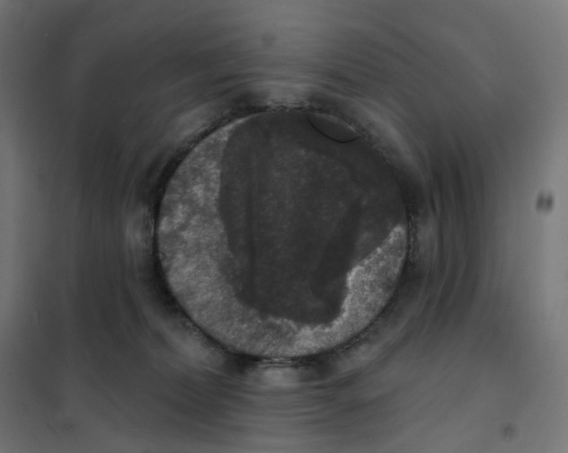 X0000102040228200808081842