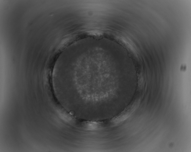 X0000102040229200808081842