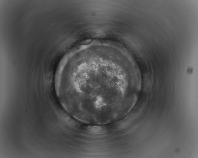 X0000102040230200808081842